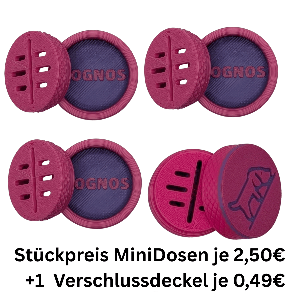 4 Stück - DOGNOS Professionelle Suchdose (Klein) – Das modulare, magnetische Versteckwunder