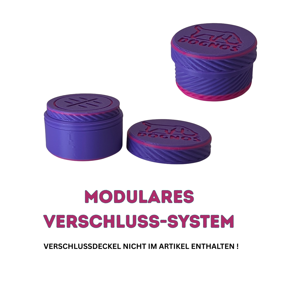 DOGNOS einfache Medi-Suchdose (ohne Magnet) – Mehr Volumen für die professionelle Nasenarbeit