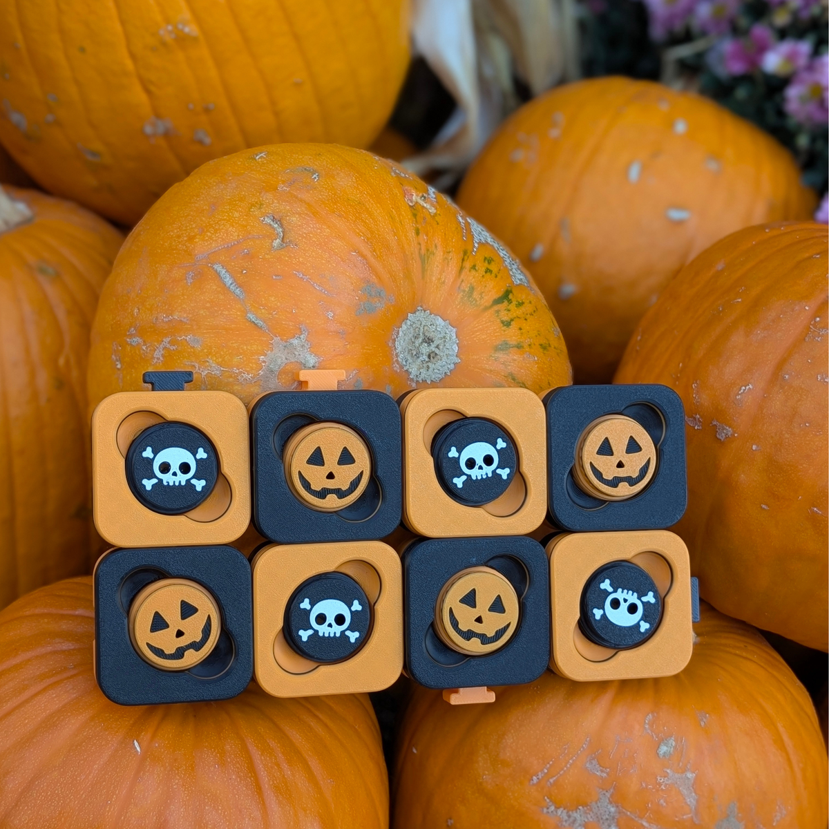 8 HALLOWEEN DOGNOS Suchboxen inkl. Dosen – Das modulare Baukastensystem für deine Nasenarbeit