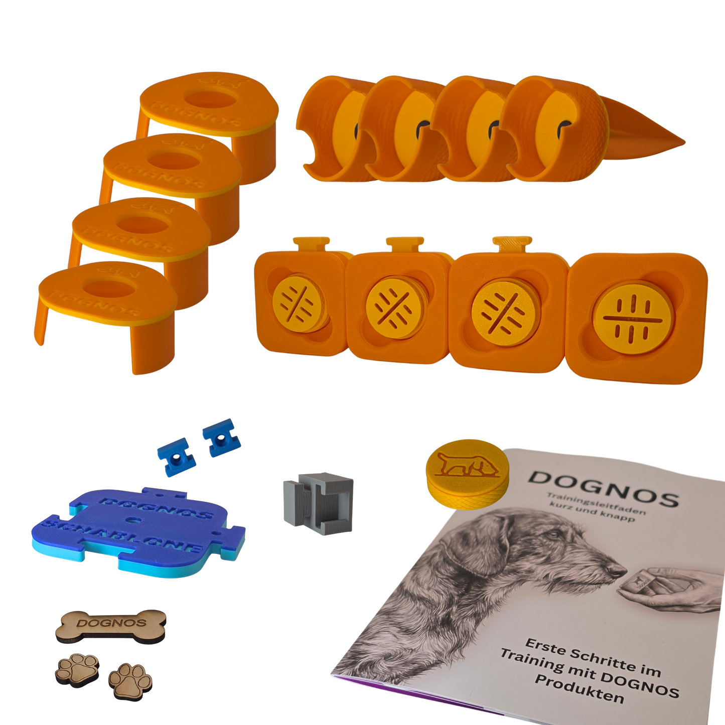 DOGNOS Kit de démarrage au travail de détection – Le pack complet pour un départ parfait